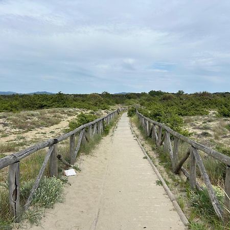 Il Mio Piccolo Angolo Di Mare Viareggio Exterior photo